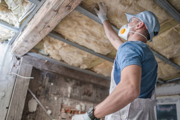 Types of Insulation We Offer in Tuba City, AZ